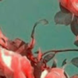 Meet your Posher, No